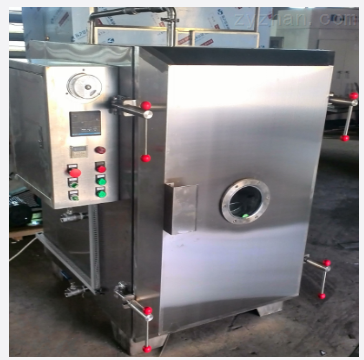 FZG-8\16\20真空干燥箱厂家